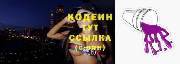 стаф Снежногорск