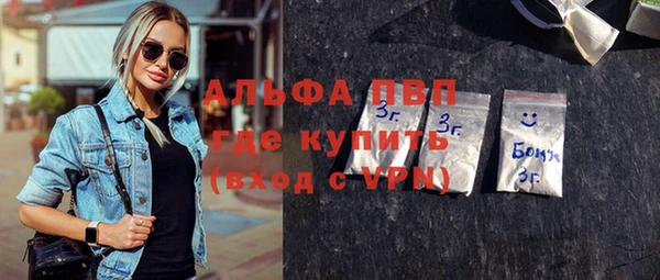 стаф Снежногорск