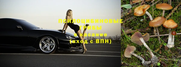 ешки Слюдянка