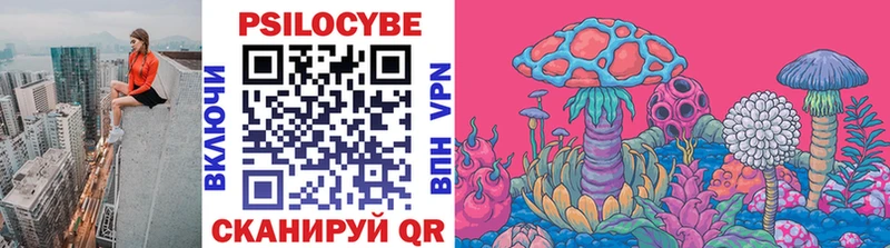 Псилоцибиновые грибы Psilocybine cubensis Курган