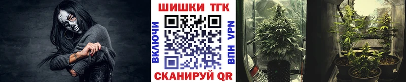 Купить закладки  Курган  Канабис SATIVA & INDICA 